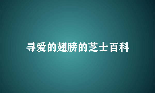 寻爱的翅膀的芝士百科