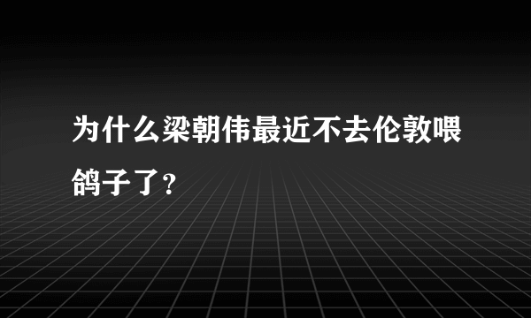 为什么梁朝伟最近不去伦敦喂鸽子了？