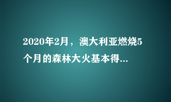 2020年2月，澳大利亚燃烧5个月的森林大火基本得到控制。本次火灾受灾面积超过1000万公顷，约10亿只动物葬身火海。关于本次山火带来影响的叙述，错误的是（　　）A.袋鼠、考拉因火灾数量减少