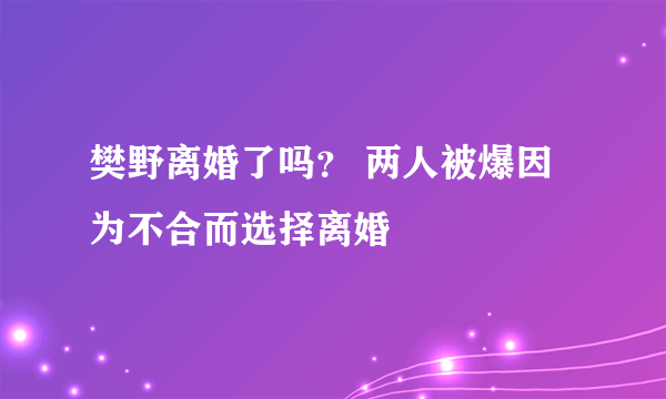 樊野离婚了吗？ 两人被爆因为不合而选择离婚