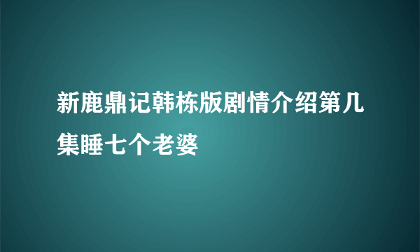 新鹿鼎记韩栋版剧情介绍第几集睡七个老婆