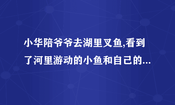 小华陪爷爷去湖里叉鱼,看到了河里游动的小鱼和自己的倒影,根据这个情景回答如下问题:(1)小华看到“鱼”的比实际位置______了(升高/降低),这是光的______现象造成的。若小华将电筒光对着看到的“鱼”射入,______(能/不能)照亮鱼。(2)小华看到自己的倒影是______像(实/虚),如果小华到水面的距离是2m,则像到水面的距离______2m(大于/小于/等于/)。