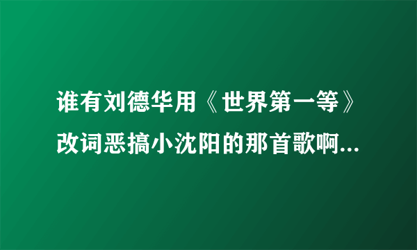 谁有刘德华用《世界第一等》改词恶搞小沈阳的那首歌啊？mp3的！