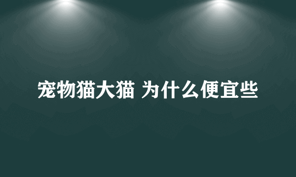 宠物猫大猫 为什么便宜些