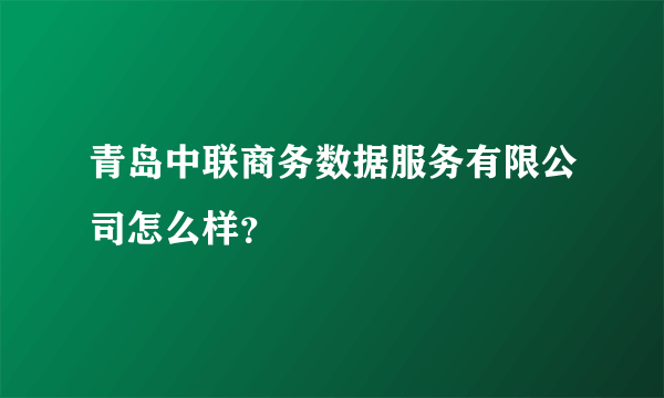 青岛中联商务数据服务有限公司怎么样？