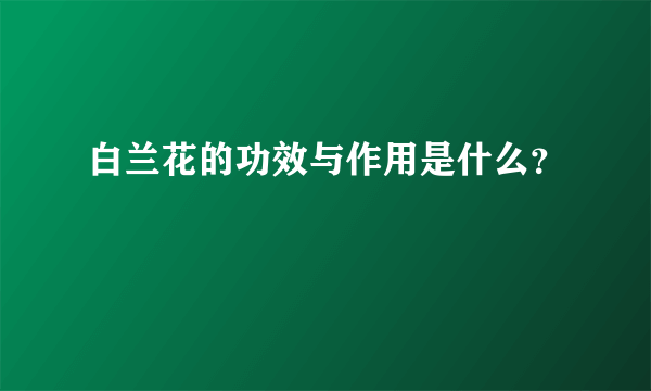 白兰花的功效与作用是什么？