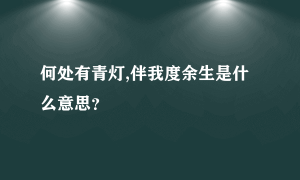 何处有青灯,伴我度余生是什么意思？