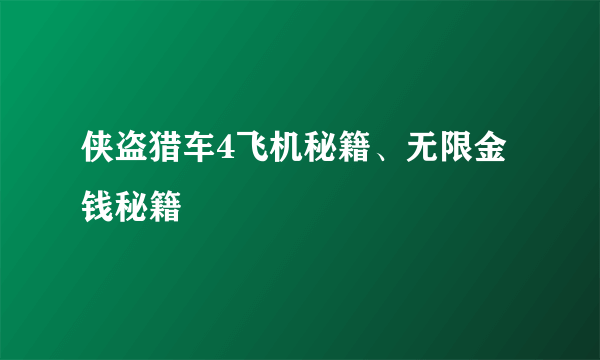 侠盗猎车4飞机秘籍、无限金钱秘籍