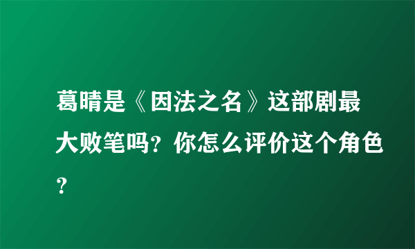 葛晴是《因法之名》这部剧最大败笔吗？你怎么评价这个角色？