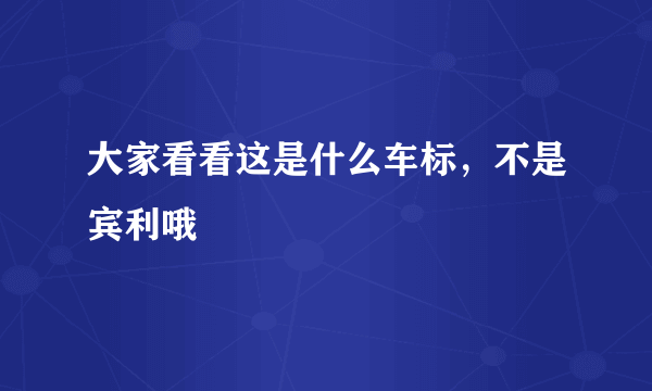 大家看看这是什么车标，不是宾利哦