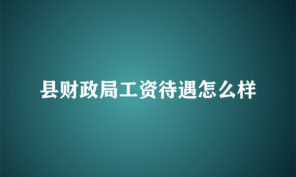 县财政局工资待遇怎么样