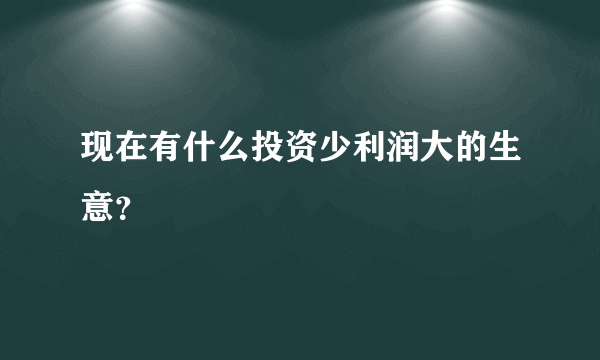 现在有什么投资少利润大的生意？