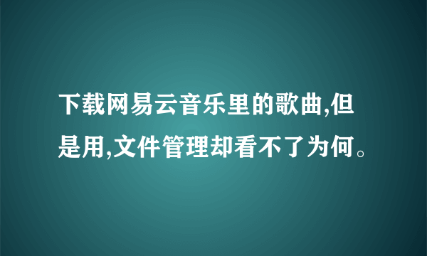 下载网易云音乐里的歌曲,但是用,文件管理却看不了为何。