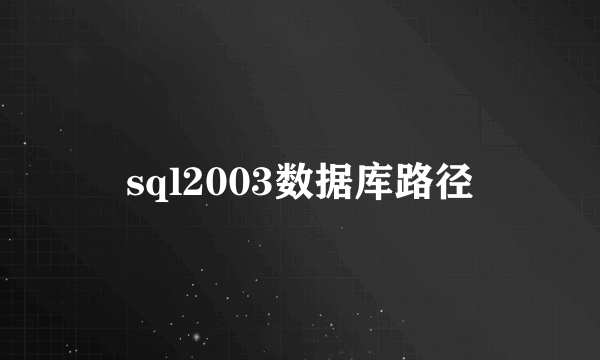 sql2003数据库路径