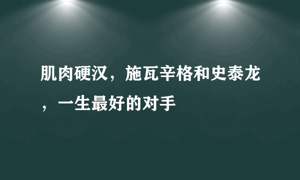 肌肉硬汉，施瓦辛格和史泰龙，一生最好的对手