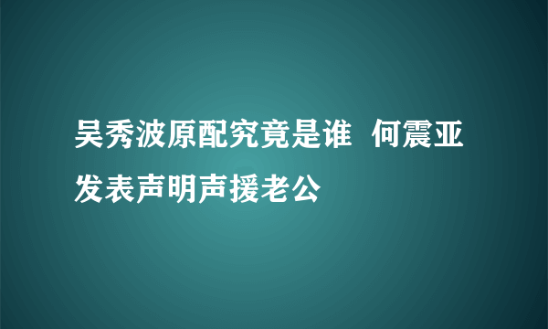 吴秀波原配究竟是谁  何震亚发表声明声援老公