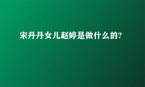 宋丹丹女儿赵婷是做什么的?