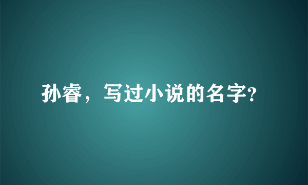 孙睿，写过小说的名字？