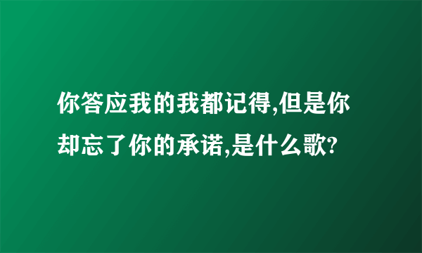 你答应我的我都记得,但是你却忘了你的承诺,是什么歌?