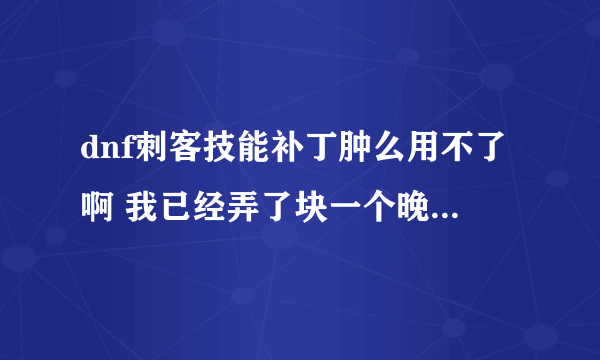 dnf刺客技能补丁肿么用不了啊 我已经弄了块一个晚上了 具体的来