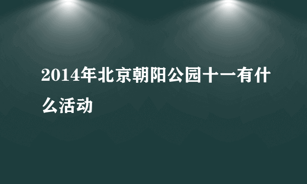 2014年北京朝阳公园十一有什么活动