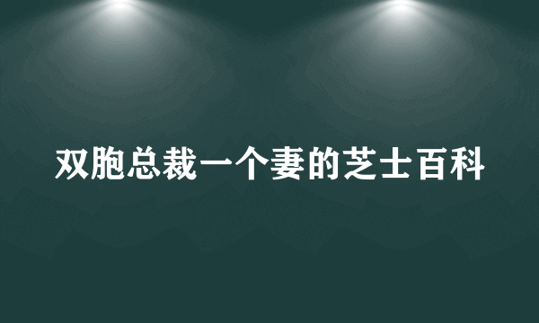 双胞总裁一个妻的芝士百科