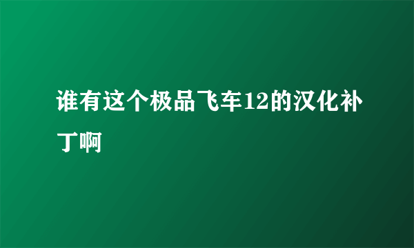 谁有这个极品飞车12的汉化补丁啊