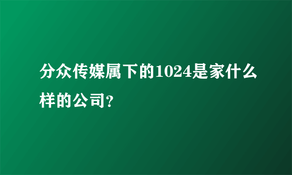 分众传媒属下的1024是家什么样的公司？