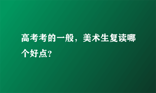 高考考的一般，美术生复读哪个好点？