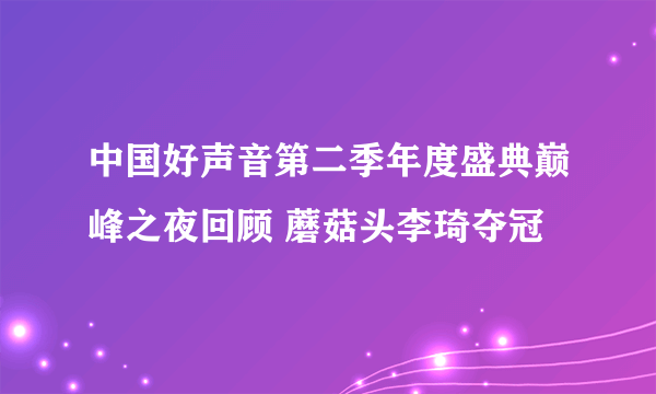 中国好声音第二季年度盛典巅峰之夜回顾 蘑菇头李琦夺冠