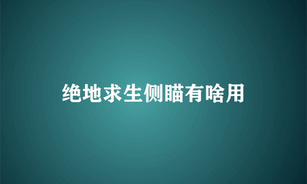 绝地求生侧瞄有啥用