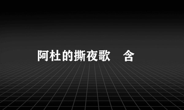 阿杜的撕夜歌詞含義