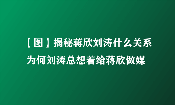 【图】揭秘蒋欣刘涛什么关系 为何刘涛总想着给蒋欣做媒