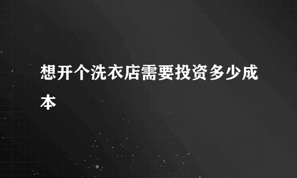 想开个洗衣店需要投资多少成本