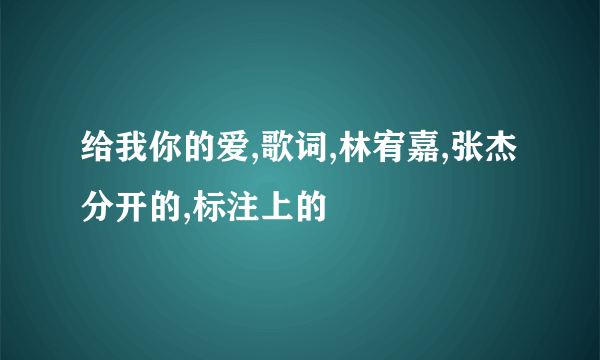 给我你的爱,歌词,林宥嘉,张杰分开的,标注上的