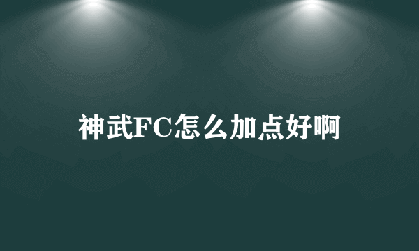 神武FC怎么加点好啊