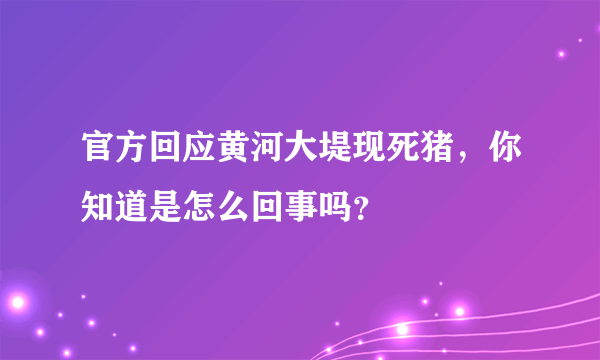 官方回应黄河大堤现死猪，你知道是怎么回事吗？