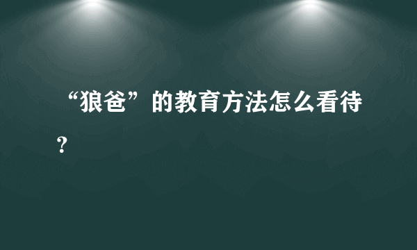 “狼爸”的教育方法怎么看待？