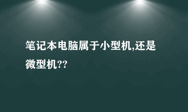 笔记本电脑属于小型机,还是微型机??