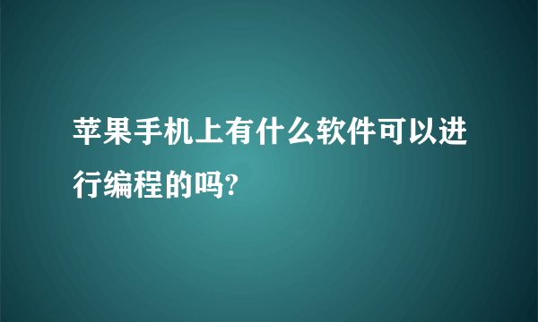 苹果手机上有什么软件可以进行编程的吗?