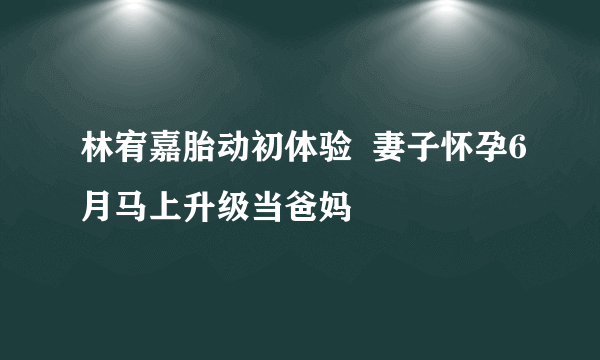 林宥嘉胎动初体验  妻子怀孕6月马上升级当爸妈