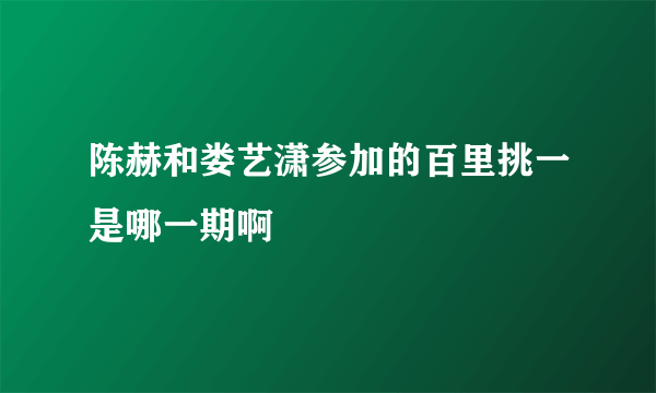 陈赫和娄艺潇参加的百里挑一是哪一期啊