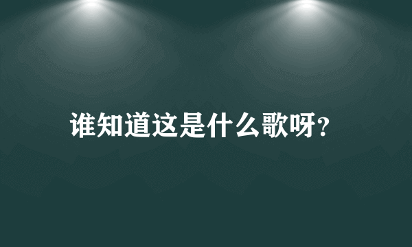 谁知道这是什么歌呀？