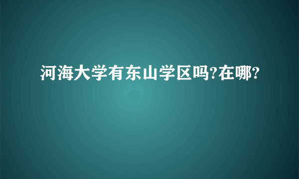 河海大学有东山学区吗?在哪?