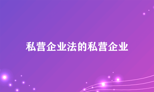 私营企业法的私营企业