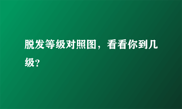 脱发等级对照图，看看你到几级？