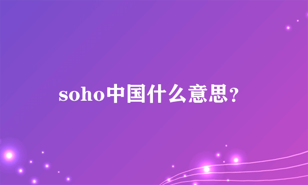 soho中国什么意思？