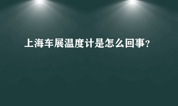 上海车展温度计是怎么回事？