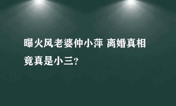 曝火风老婆仲小萍 离婚真相竟真是小三？