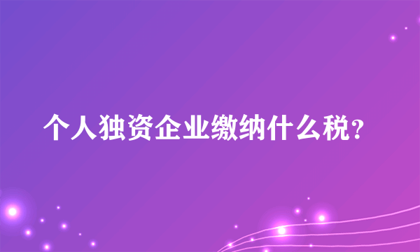 个人独资企业缴纳什么税？